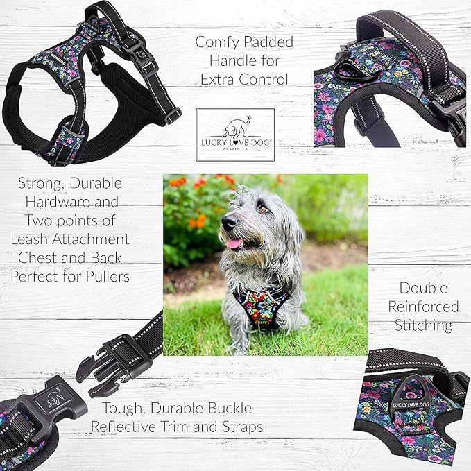 Lucky Love Dog No Pull Dog Harness, Adjustable and Easy to Walk, Cute Patterned Harness for Large Male & Female Dogs - Primrose, Large