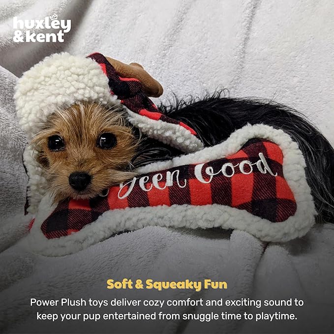 Huxley & Kent Funny Dog Toy w/Squeaker – Holiday Power Plush Squeaky Dog Toys for Small, Medium & Large Dogs – Soft Stuffed Animal for Indoor Play & Fetch - I've Been Good Bone, Large