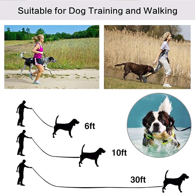 10ft Purple Dog Leashes - Obedience Recall Training Agility - Strong Traditional Style Extra Long Leads for Large, Medium & Small Dogs - Great for Parks,Fetch,Backyard & Camping(10FT, Purple)
