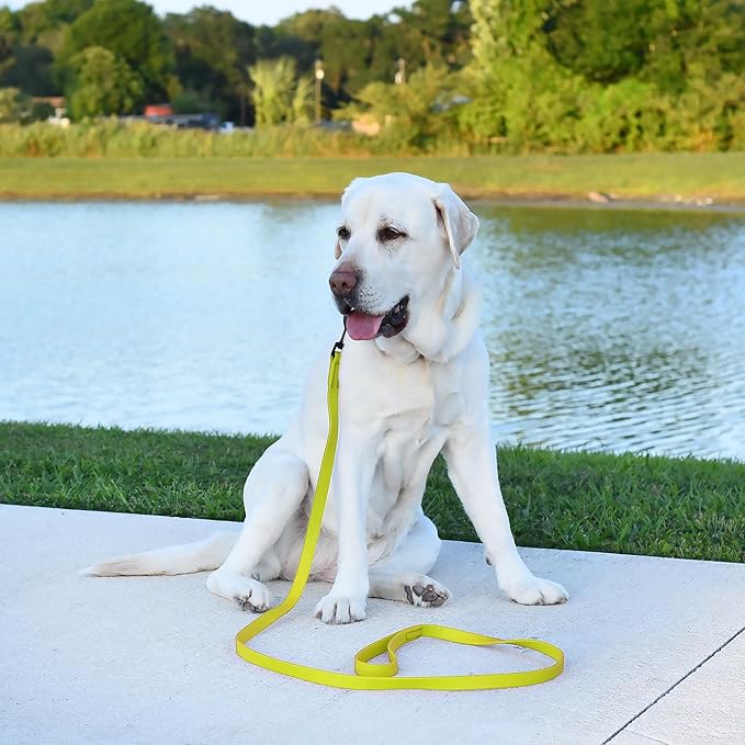 Dogline Biothane Waterproof Dog Leash Strong Coated Nylon Webbing with Black Hardware Odor-Proof Easy to Clean High Performance for Small or Large Dogs Made in USA 2 ft Lead, Safety Yellow