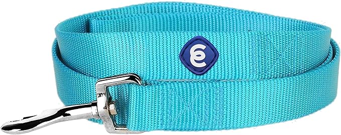 Blueberry Pet Essentials Turquoise Dog Leash for X-Small -5' * 3/8" Dogs | Heavy Duty Nylon Lead | Lightweight Puppy & Cat Leash for Walking & Training