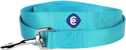 Blueberry Pet Essentials Turquoise Dog Leash for X-Small -5' * 3/8" Dogs | Heavy Duty Nylon Lead | Lightweight Puppy & Cat Leash for Walking & Training