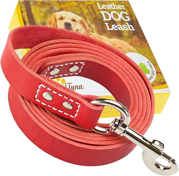 ADITYNA Heavy Duty Leather Dog Leash 6 ft x 1" - Strong, Soft Training Lead for Large & Extra Large Breeds (Red, XL - 6 ft x 1 inch)