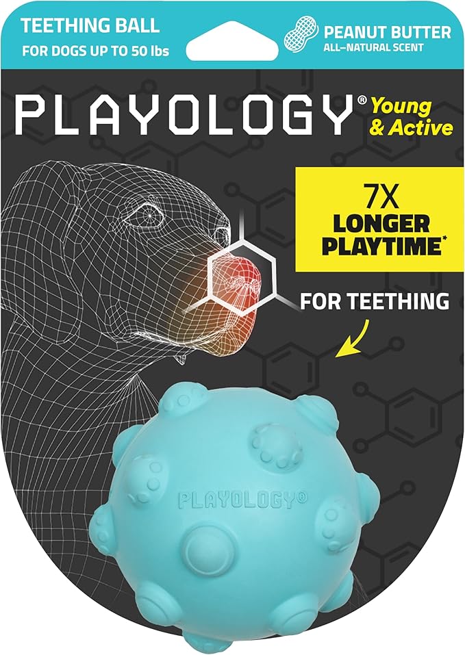 Playology Dog Toys | Puppy Toy Teething Ball Designed for Young & Active Dogs | Medium Peanut Butter Scented Toy Made from Non Toxic Materials