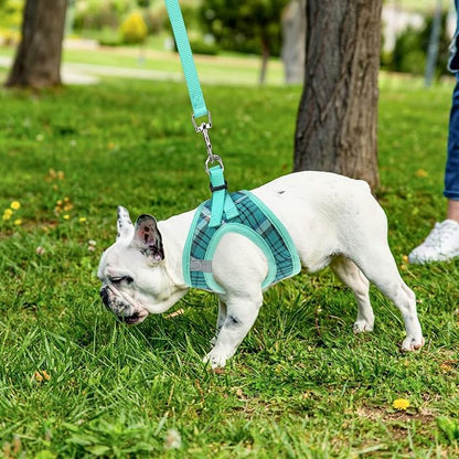PUPTECK Adjustable Dog Harness Collar and Leash Set Step in No Pull Pet Harness for Small Medium Dogs Puppy and Cats Outdoor Walking Running, Soft Mesh Padded Reflective Vest Harnesses, Lake Green XS