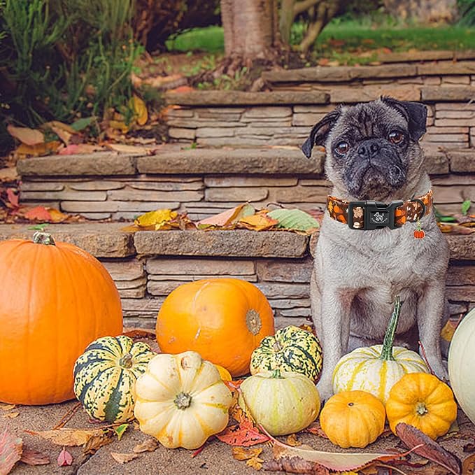 Elegant little tail Halloween Dog Collar, Pumpkin with Maple Leaf Print Fall Pet Collars Cotton Soft Sturdy Puppy Collars Holiday Female Adjustable Collar for X-Small Puppy