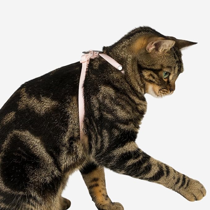 BuddyArmor Escape Proof Cat Harness Anti-Choke Quick Release Adjustable QR Code Soft Nylon Durable Lightweight Figure 8 Cat Harness Anti Escape for Kitten Small Medium Large Cats (Blush Pink, M)