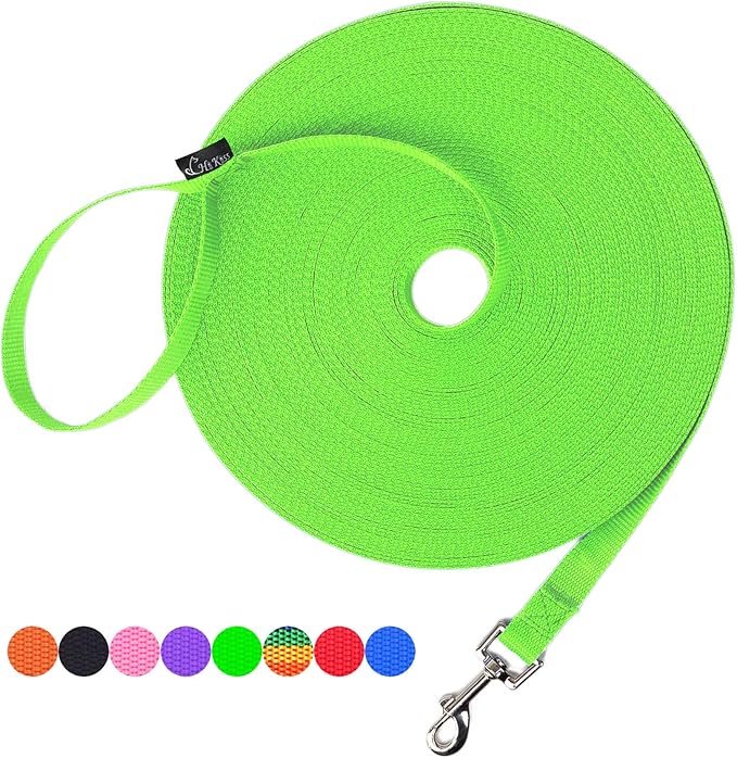 Hi Kiss Dog/Puppy Obedience Recall Training Agility Lead - 15ft 20ft 30ft 50ft 100ft Training Leash - Great for Training, Play, Camping, or Backyard (20 Feet, Green)