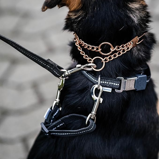 Herm. Sprenger Prong Collar Safety Clip with Reflective Stripes 6"-8" - Pack of 1 Dog Leash Safety Strap - Enhanced Durability for Secure Leash Connection - Ideal for Safe Walk and Training (Black)