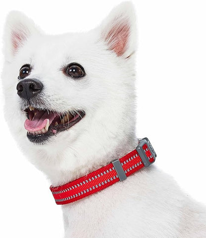 Blueberry Pet Essentials Matching Small Dog Collar | Adjustable Classic Solid Color Nylon Dog Collars for Small Dogs | Reflective Rouge Red Dog Collar for Small Dogs