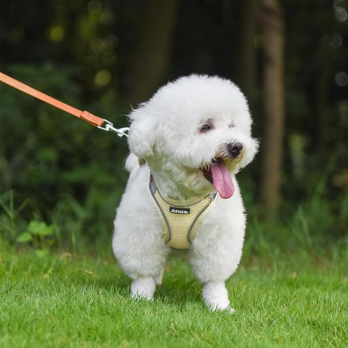 AIITLE Small Harness for Puppy with A Leash - Dog Vest Harness with Super Breathable Mesh, Reflective No-Pull Pet Harness for Outdoor Walking, Running for Small Dogs, Cats Beige XXS