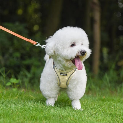 AIITLE Comfortable Dog Harness and Leash Set for Walking - Step in Vest Harness,Reflective Bands, Adjustable No Pull Puppy Essentials, for Small Dogs and House Cats Beige XS