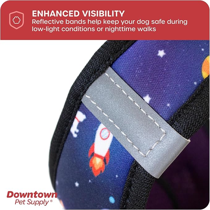 Downtown Pet Supply Step-in Dog Harness – No Pull, Adjustable Padded Mesh with Reflective Trim, Secure Buckle Strap – Comfortable & Breathable Small Dog Harness, XX-Small, Space