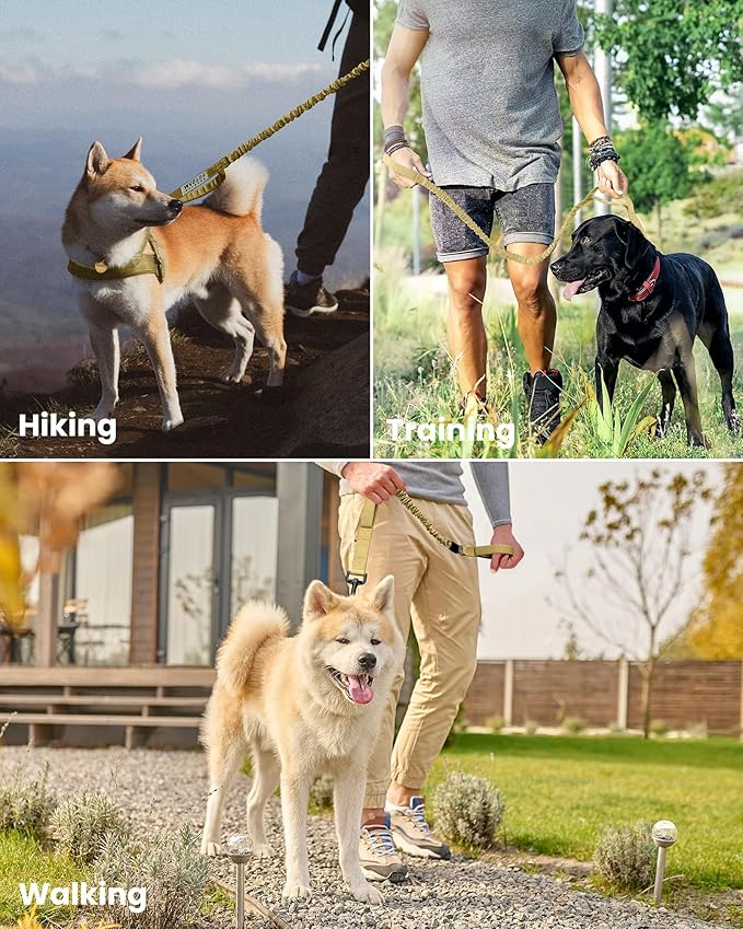 OutdoorMaster Bungee Dog Leash, Heavy Duty Dog Leash with Shock Absorption, 2 Padded Handles Training Leash,1 Seat Belt Clip, Improved Dog Safety and Comfort - Khaki Upgraded, 6 FT