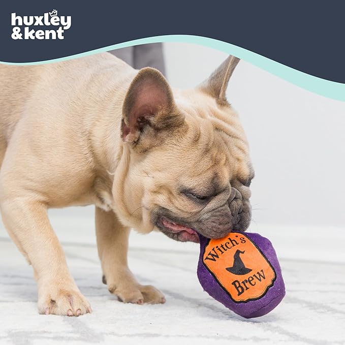 Huxley & Kent Halloween Funny Dog Toy w/Squeaker – Power Plush Squeaky Dog Toys for Small Dogs – Durable Small Stuffed Animal for Indoor Play & Fetch - Tiny Tuff Witch's Harvest 2pk