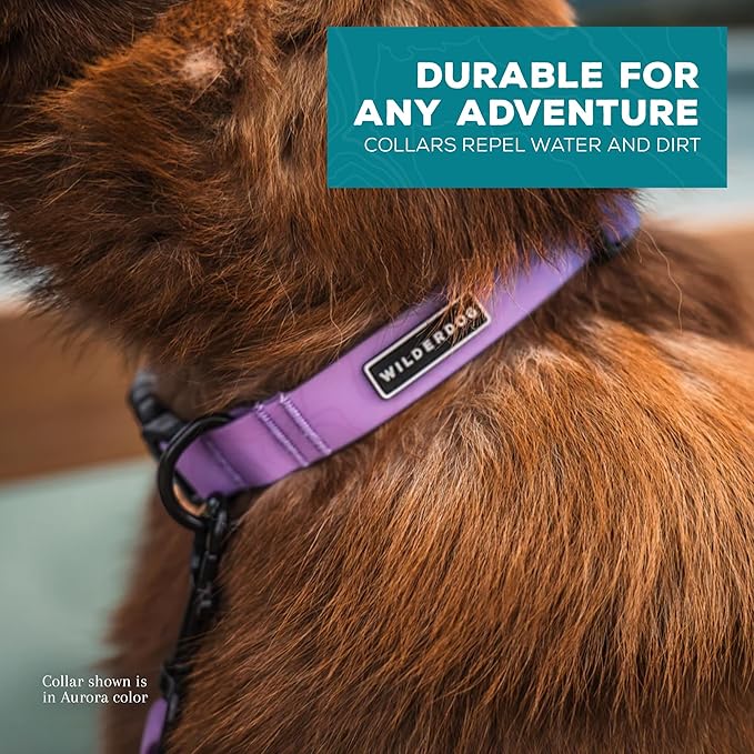 Wilderdog Waterproof Dog Collar - Repels Water & Dirt - Medium 13"-18" - Aurora