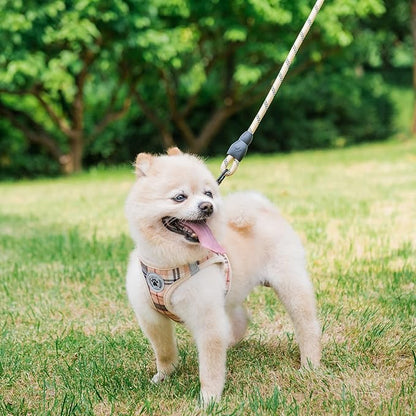 BEAUTYZOO Small Dog Harness and Leash Set,Step in No Choke No Pull Soft Mesh Dog Harnesses Reflective for Extra-Small Medium Puppy Dogs and Cats, Plaid Dog Vest Harness for XS S Pets, Beige XS