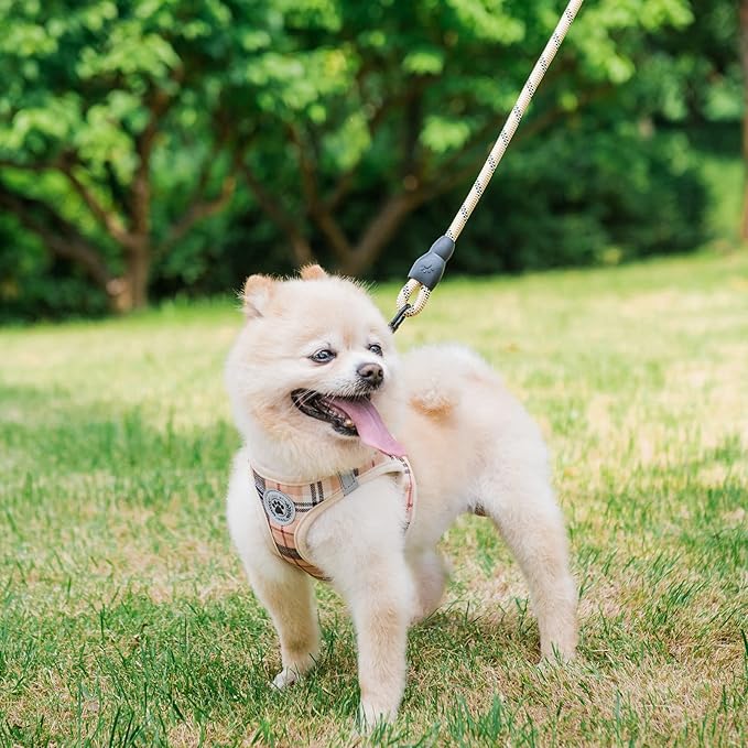 BEAUTYZOO Small Dog Harness and Leash Set,Step in No Choke No Pull Soft Mesh Dog Harnesses Reflective for Extra Small Medium Puppy Dogs and Cats, Plaid Dog Vest Harness for XS S Pets, Beige S