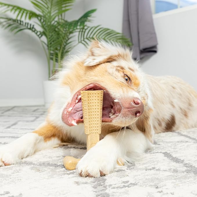 SPOT Bam-Bones Plus T-Bone, Bamboo Fiber & Nylon Dog Chew, Durable for Aggressive Chewers, Non-Splintering, for Adult Dogs & Teething Puppies Under 60lbs, 6in, Chicken Flavor