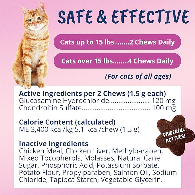 undertheweatherpet Mobility Chews for Cats | Helps in Preventing Joint Issues | for Aging Cats Becoming Less Active | 60 Star Shaped Soft Chews