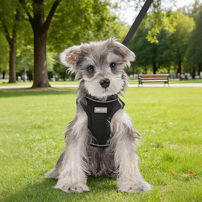 Bolux Dog Harness Small Sized and Leash Set, Step in Soft Light Puppy Vest, Breathable Mesh Pet Harness, Reflective for Safe Easy Walking.