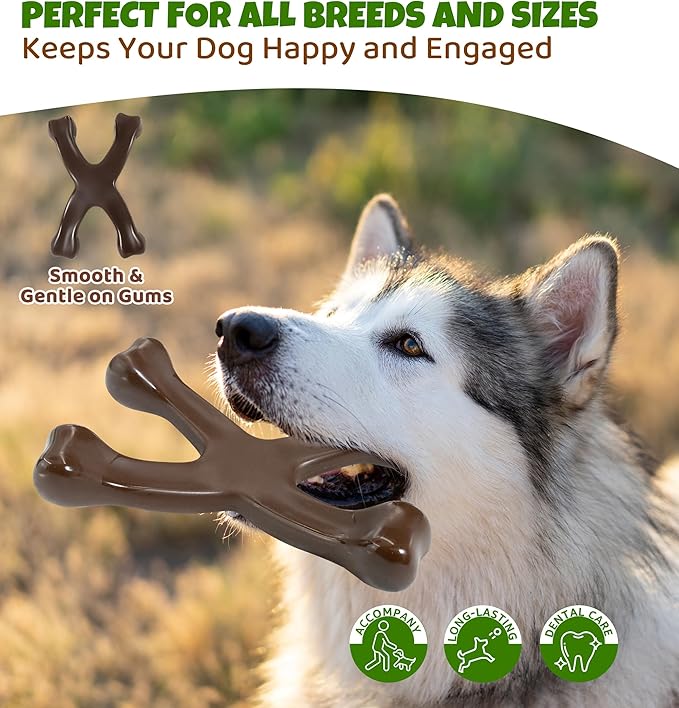 IPTPAS Tough Dog Chew Toy for Aggressive Chewers, Indestructible Beef Flavor Nylon Bone, Durable Dental Toy for Teeth Cleaning & Anxiety Relief, for Small Medium Large Dogs, Keep Them Busy (Brown-X)