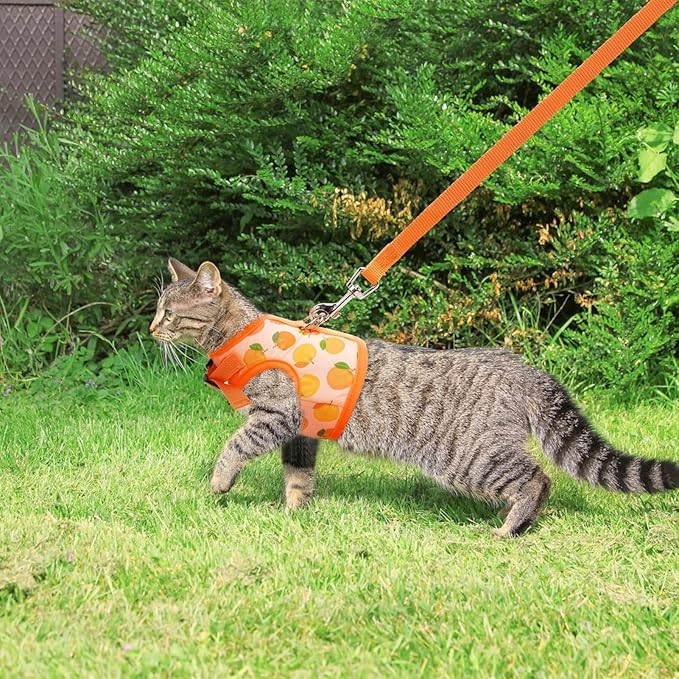 BINGPET Cat Harness with Leash Escape Proof - Fashionable Mesh Cat Dog Walking Harness Leads, Adjustable for Kitties Puppies Small Animals,Orange,M