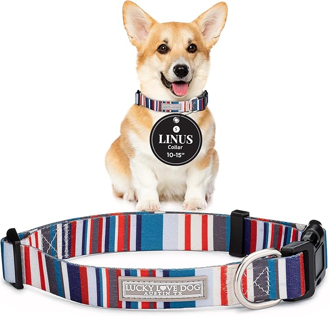 Lucky Love Dog - Adjustable Dog Collar with Easy Click Buckle for Small Dogs, Durable, & Comfortable for Male & Female Dogs, Pet Collar for Puppies & Adult Ones - Linus, Small