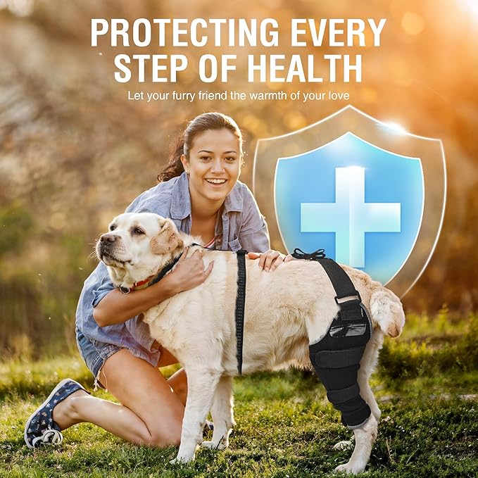 Dog ACL Brace Hind Leg – Breathable Adjustable Rear Leg Brace with Hot/Cold Compress Gel Pack for Arthritis, Swelling & Joint Pain Relief, Left Leg, Size M