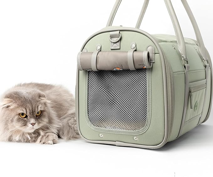 Petropolitan Soft-Sided Pet Carrier for Cats and Small Dogs – Stylish, Airline-Approved Travel Bag with Mesh Ventilation, Collapsible, Removable Pad and Safety Leash, Fits up to 16 lb