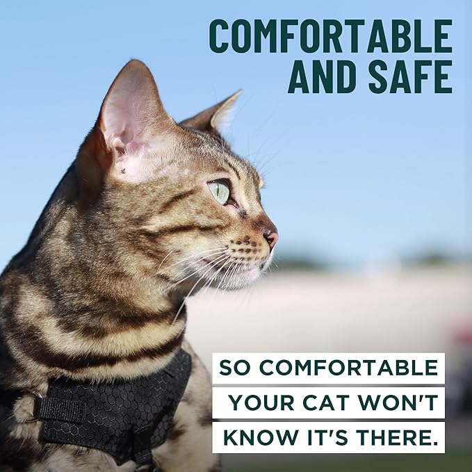 Houdini™ Escape Proof Cat Harness and Leash Set by OutdoorBengal – Red, Large Cat Harness for Walking Big Cats