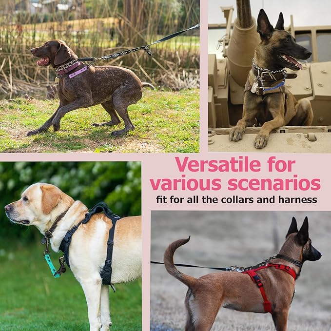 Dog Safety Collar Clip – Waterproof Backup Connector with Dual Hooks for Harness and Collar | Leash Safety Attachment for Training & Walking (Pink, 9 inch)