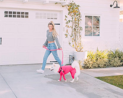 Shed Defender Shock Absorbing Bungee Leash - Three Padded Traffic Handles, Designed in The USA, Stretches 4-7ft, Elastic Dog Leash, Reflective Stitching, Large Dog & Small Breed, Heavy Duty, Pink
