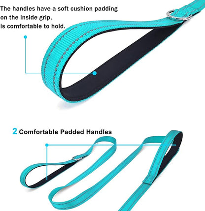 6 FT Dog Leash with 2 Padded Handle Nylon Reflective Dogs Leashes for Small Medium Large Dogs Sky Blue