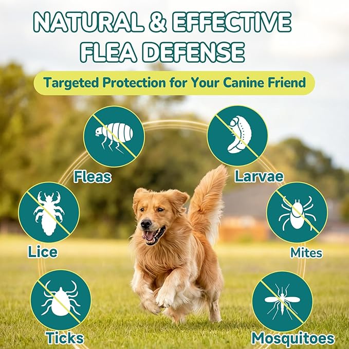 Woyamay 4-IN-1 Flea and Tick Prevention for Dogs, 500 Crunchy Dog Flea Chews, Dog Flea Treatment, Natural Oral Flea Treatment for Dogs, Daily Support for Flea, Skin & Coat, Gut, Immune, Chicken Flavor