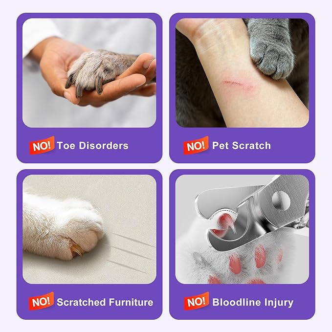 Pet Nail Grinder Quiet Professional Cats Cordless Clippers Cat Claw Care Cat Grooming Clippers Cat Grooming Supplies with Charging Cable Easy to Hold Safety Guard for Small Dogs Cats