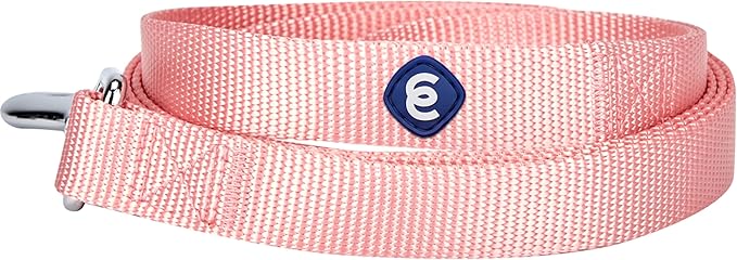 Blueberry Pet Essentials Baby Pink Dog Leash for X-Small -5' * 3/8" Dogs | Heavy Duty Nylon Lead | Lightweight Puppy & Cat Leash for Walking & Training