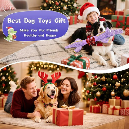 Interactive Tug of War Dog Toys for Small to Large Breeds-Squeaky Plush Puppy Toys with Crinkle Paper, Stuffed Chew Dog Toys to Keep Them Busy, Training Reward Gift (Purple)