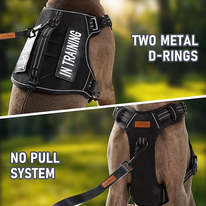 Extra Small Dog Harness, No-Pull Pet Harness with 2 Leash Clips, Adjustable Soft Padded Dog Vest, Reflective No-Choke Pet Oxford Vest with Easy Control Handle for XSmall Dog Breeds, Black, XS