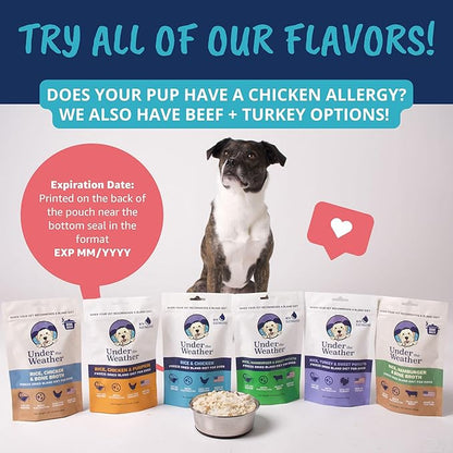 Under the Weather Bland Diet for Dogs | Easy to Digest for Sick Dogs | Always Be Ready | Contains Electrolytes - All Natural Freeze Dried 100% Human Grade Meats | 1 Pack - Chicken, Rice - 6oz