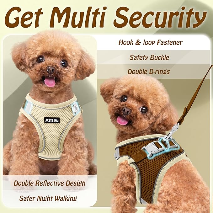 AIITLE Small Harness for Puppy with A Leash - Dog Vest Harness with Super Breathable Mesh, Reflective No-Pull Pet Harness for Outdoor Walking, Running for Small Dogs, Cats Beige XXS