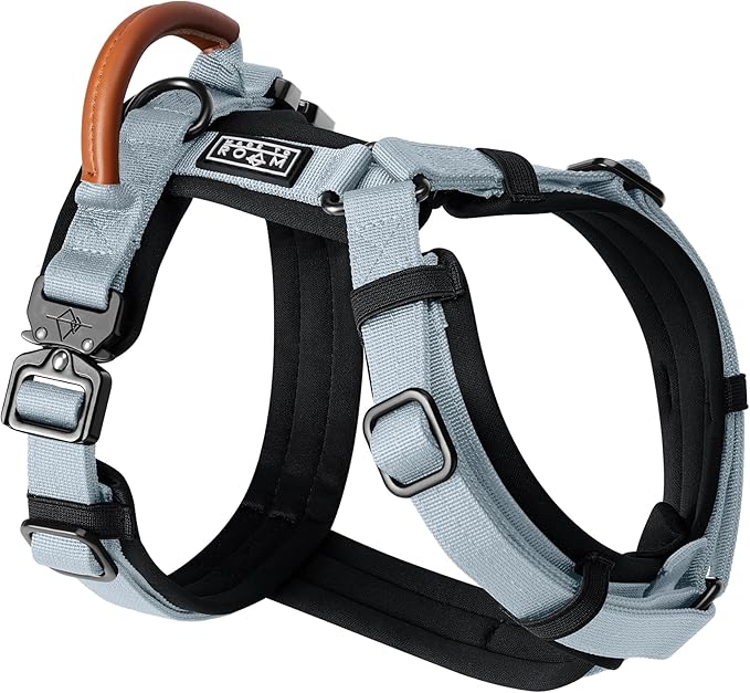 MADE TO ROAM Premium Explorer Harness - Y-Shaped Dog Harness with Adjustable Durable Nylon, Soft Padding, Metal Buckles and Leather Handle for Small, Medium, Large Dogs (Alaska Daybreak, Size 4)