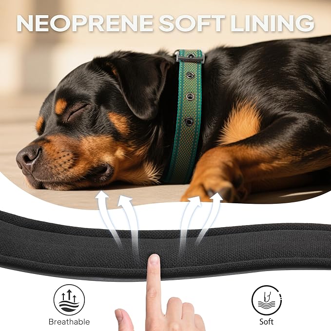 PetiFine Dog Collars for Small Dogs, Neoprene Padded and Adjustable, Reflective Wide Heavy Duty Pet Collars with Durable Metal Belt Buckle for Walking, Teal&Orange, S