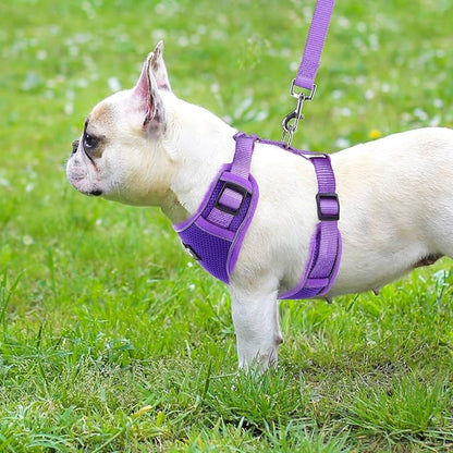 PUPTECK Small Dog Harness and Leash Set, No Pull Adjustable Puppy Cat Harness, Reflective Soft Mesh Pet Vest Small Sized, Purple, L