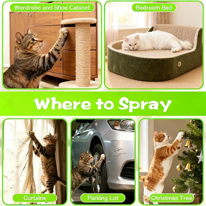 KODASNY Cat Deterrent Spray, Natural Non-Toxic Cat Repellent Spray, Indoor & Outdoor Pet Training Cat Anti-Scratch Spray for Furniture, Carpet, Sofas, Curtain Protection, No Trace Formula (200 ML)