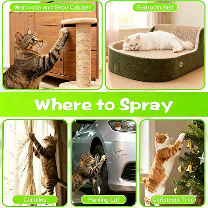 KODASNY Cat Deterrent Spray, Natural Non-Toxic Cat Repellent Spray, Indoor & Outdoor Pet Training Cat Anti-Scratch Spray for Furniture, Carpet, Sofas, Curtain Protection, No Trace Formula (200 ML)