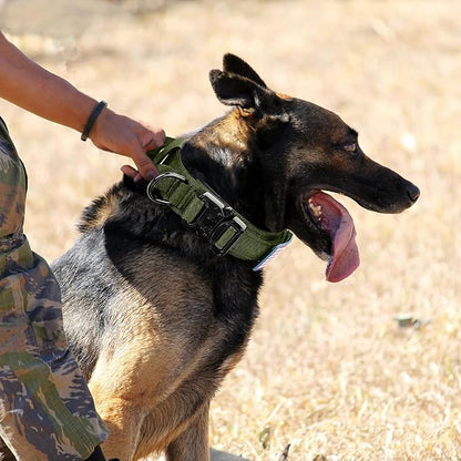 Tactical Dog Collar, Adjustable Nylon, Heavy Duty Metal Buckle with Handle, Green, L