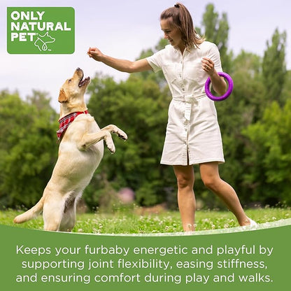 Only Natural Pet Hemp Hip & Joint Support for Dogs - Supplement for Mobility Wellness Pain Relief Healthy Inflammatory & Bone Stiffness - Chews w/Fatty Acid Blend Mussels & Turmeric - 60-Ct (2-Packs)