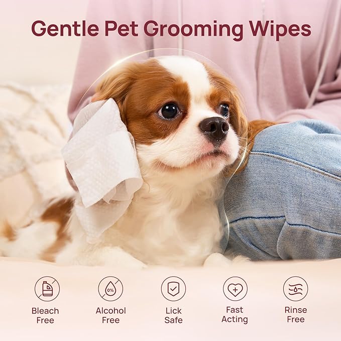 HICC PET Cleaning Deodorizing Wipes for Dogs & Cats, Vet Recommended Plant-Based Pet Grooming Wipes, Fermented Coconut Oil Grooming Paws, Body and Butt, Family Size Supply 400 Count, Rose