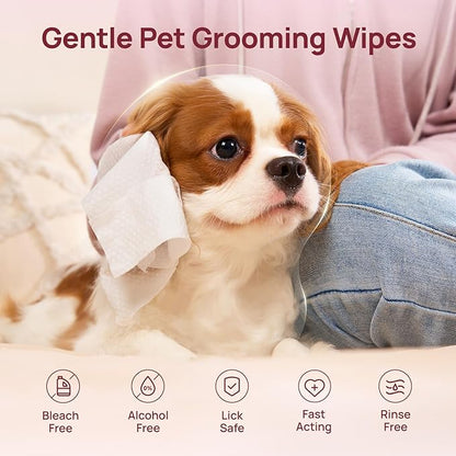 HICC PET Cleaning Deodorizing Wipes for Dogs & Cats, Vet Recommended Plant-Based Pet Grooming Wipes, Fermented Coconut Oil Grooming Paws, Body and Butt, Family Size Supply 400 Count, Rose